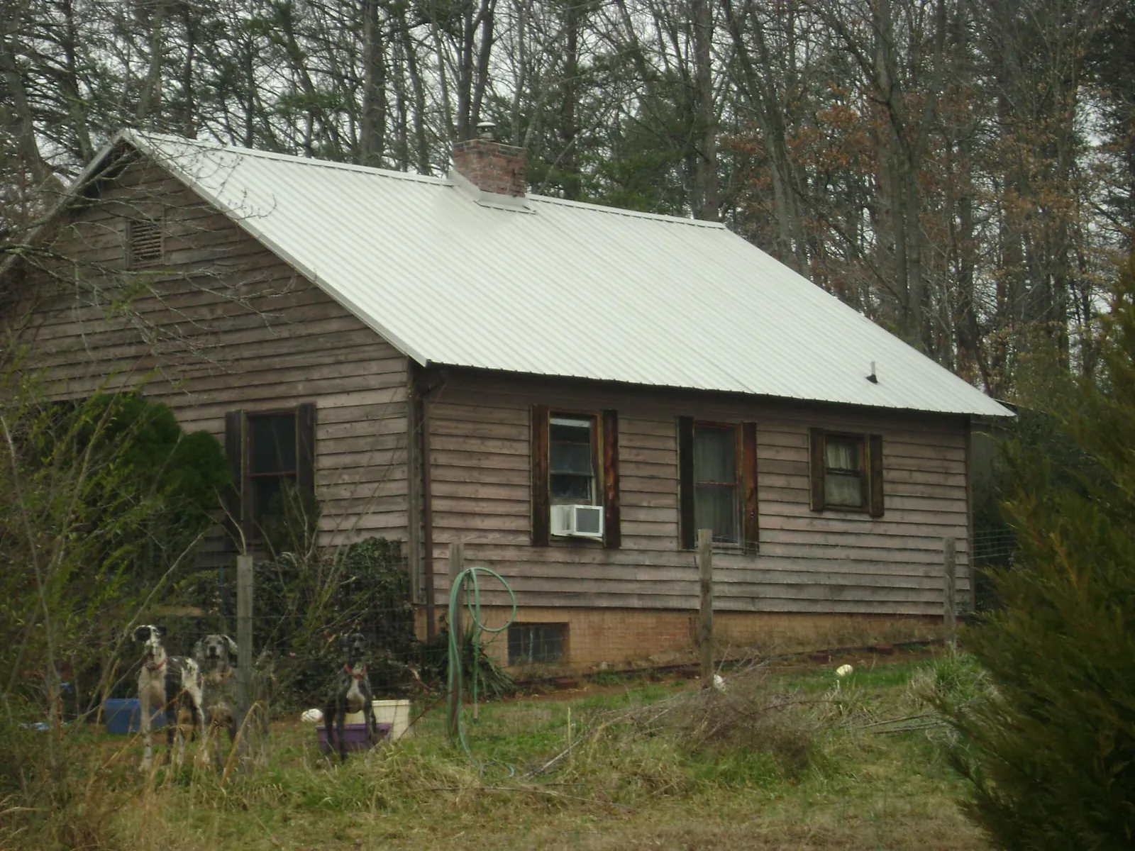 White metal roof on an old wood sided farmhouse, from a Asphalt Shingle Roof Repair job in Ruthton